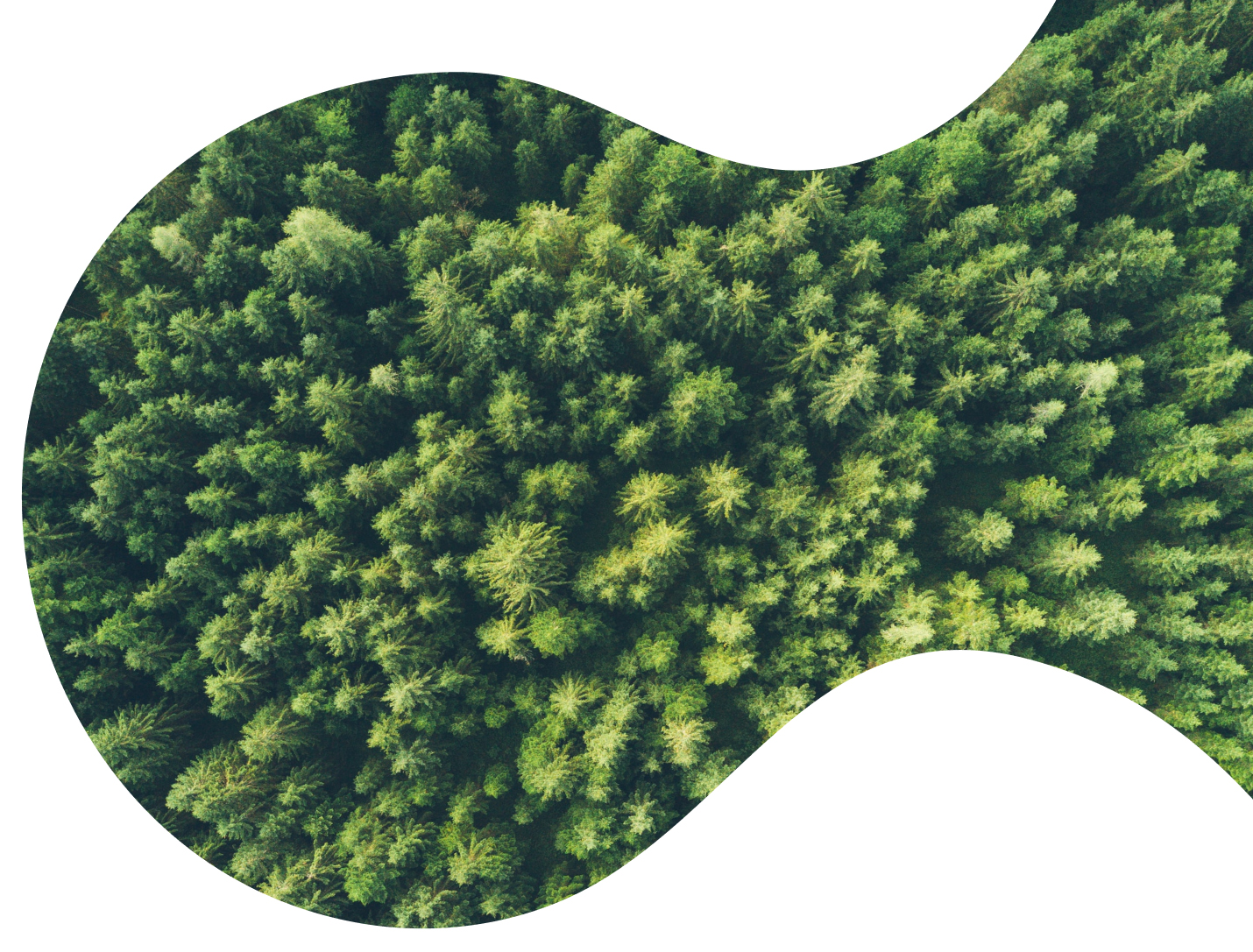 sustainability_bg