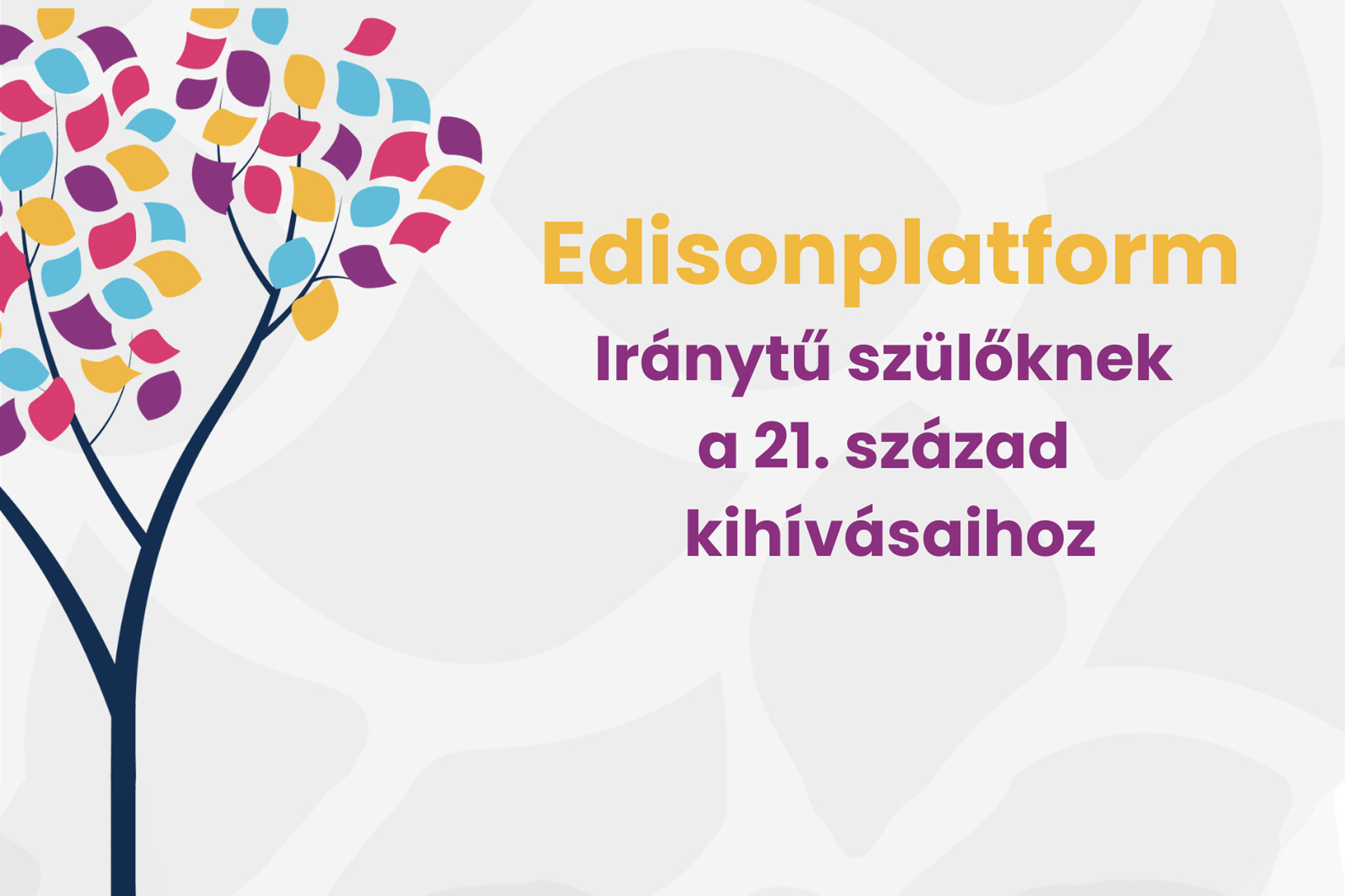 Edisonplatform