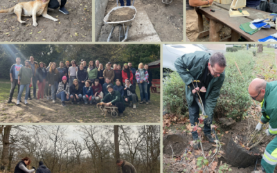 120 volunteers to protect animals and nature